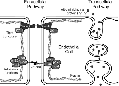 figure 1_12