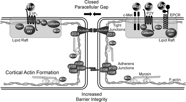 figure 3_12