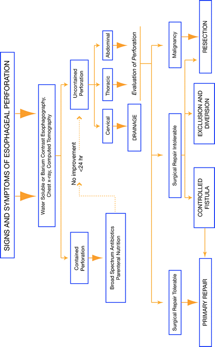 figure 1_33