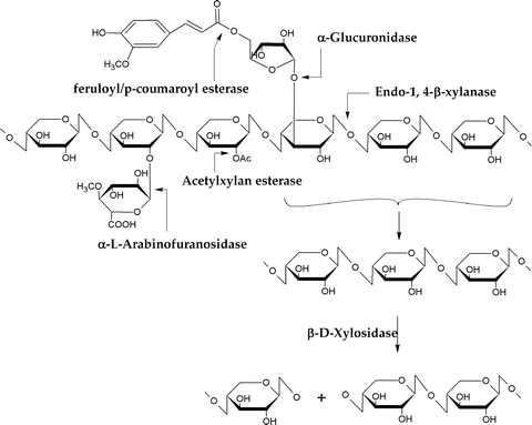 figure 2_8