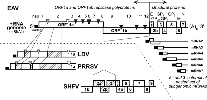 figure 00072