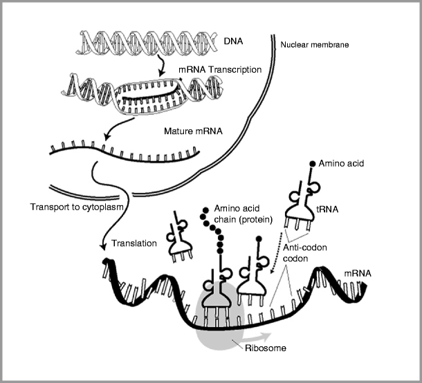 figure 4_11