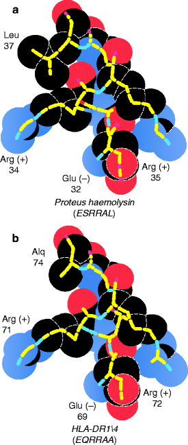 figure 1_13