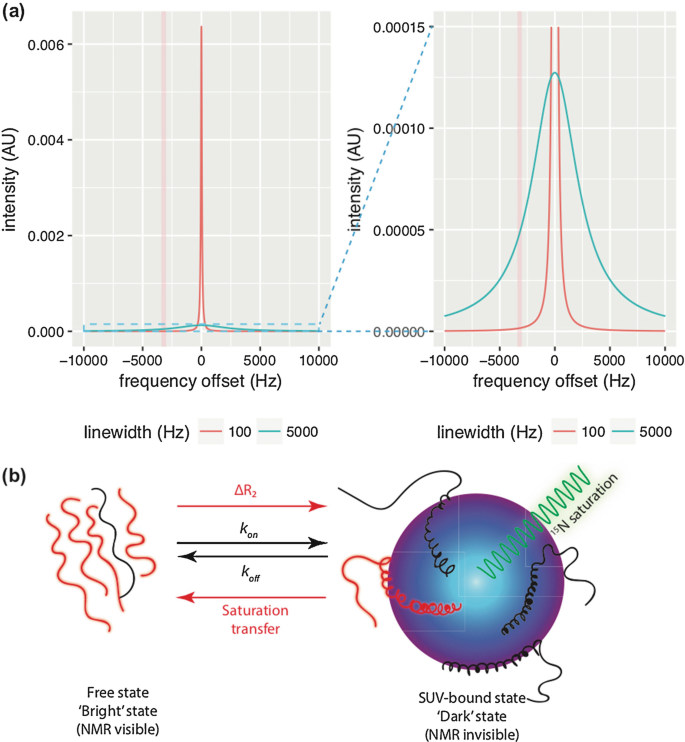 Interactions Of Idps With Membranes Using Dark State Exchange Nmr Spectroscopy Springerlink Interactions Of Idps With Membranes Using Dark State Exchange Nmr Spectroscopy Springerlink