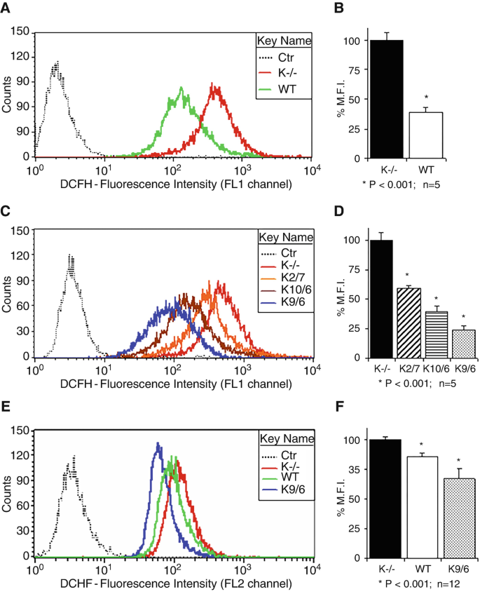Fluorescence Analysis of Reactive Oxygen Species (ROS) in Cellular Models  of Cerebral Cavernous Malformation Disease | SpringerLink