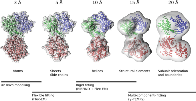 A Cryo-EM Method for Near-atomic Structures in the Intricate Networks