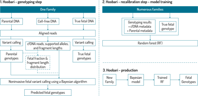 Fetal genome profiling at 5 weeks of gestation after noninvasive