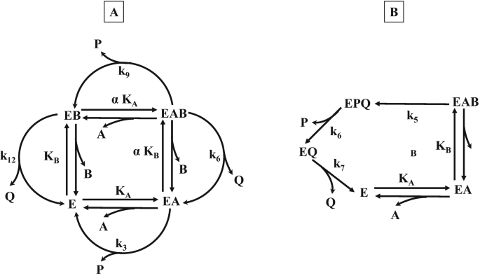 489663_2_En_6_Fig5_HTML.png