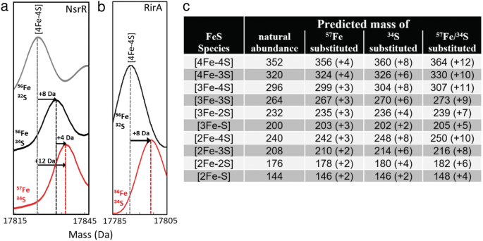 Native Mass Spectrometry Of Iron Sulfur Proteins Springerlink