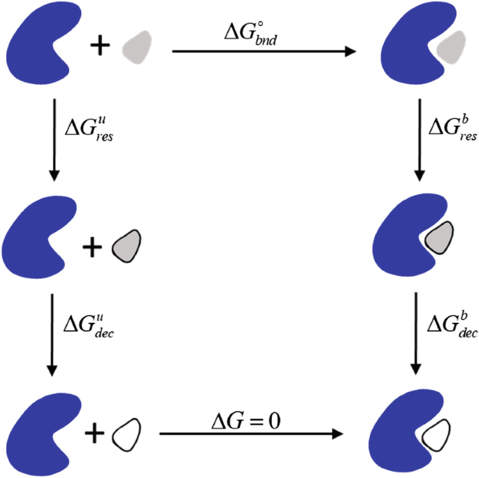 Alchemical Free Energy Calculations on Membrane-Associated