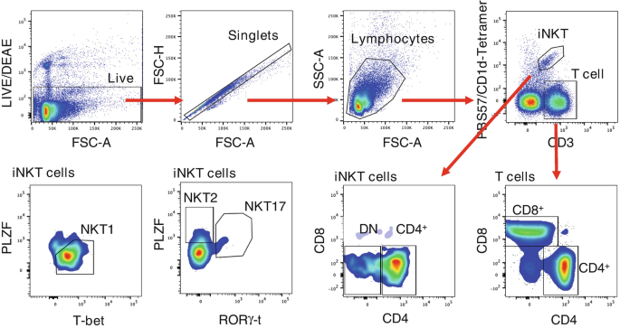 Detection of Mouse Type I NKT (iNKT) Cells by Flow Cytometry | SpringerLink