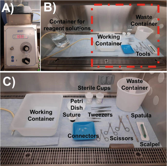 https://media.springernature.com/lw685/springer-static/image/chp%3A10.1007%2F978-1-0716-1811-0_33/MediaObjects/515367_1_En_33_Fig2_HTML.png