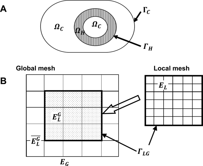 UT-Heart: A Finite Element Model Designed for the Multiscale and 