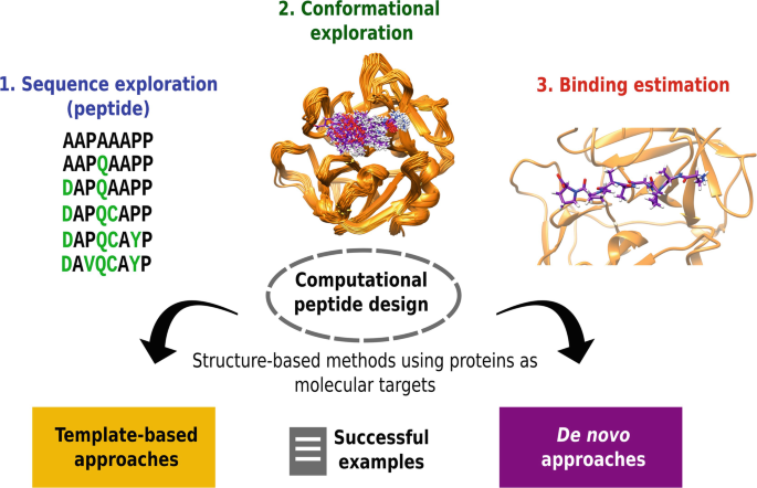 Computational Evolution Protocol for Peptide Design | SpringerLink