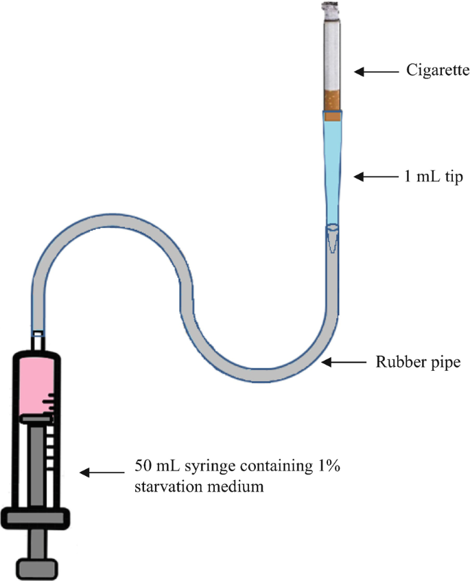 cigarette smoke extract Method of Preparation of Cigarette Smoke Extract to Assess Lung  Cancer-Associated Changes in Airway Epithelial Cells