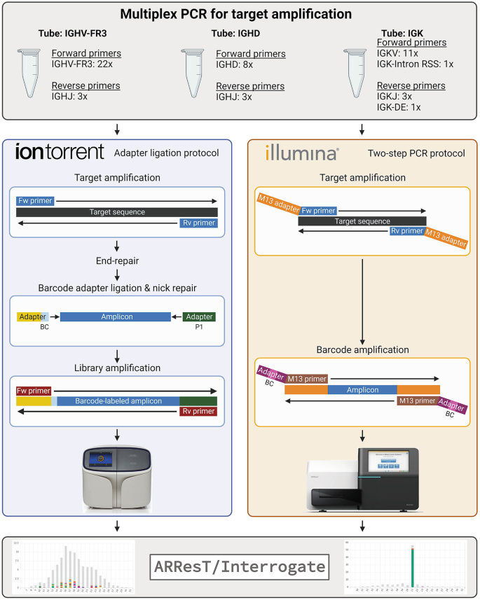 gen Materialisme Zeeman Next-Generation Sequencing-Based Clonality Detection of Immunoglobulin Gene  Rearrangements in B-Cell Lymphoma | SpringerLink