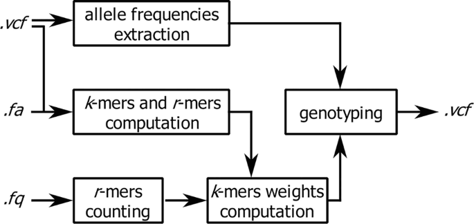 Alignment Free Genotyping Of Known Variations With Malva Springerlink
