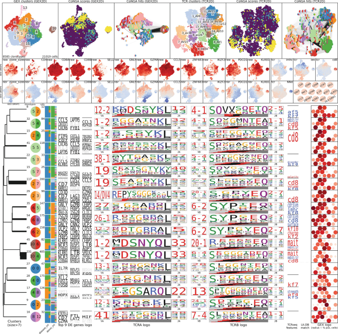 Type Chart - Poke Sweets