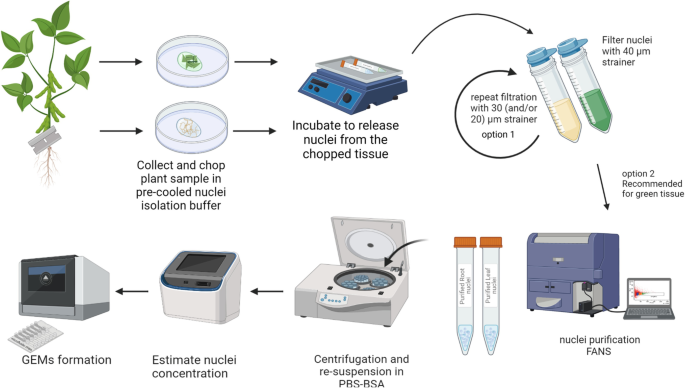 A method of reducing the nucleic acid level in single cell protein and  method for producing a single cell protein product - Patent 0041650