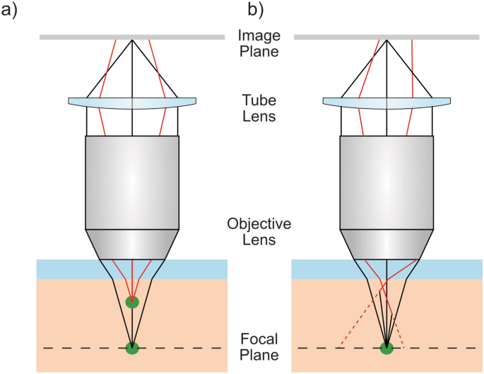Two diagrams, a and b, illustrate a ray of light passing through the image plane, tube lens, and objective lens, and touching the focal plane concerning the two different points of exits.