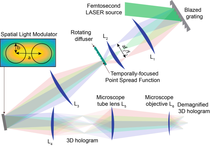 An image illustrates the setup of a 3D S H O T. It depicts a spatial light modulator, a rotating diffuser, a microscope tube lens, a microscope objective, and a femtosecond laser light source.