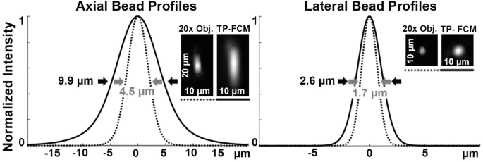 A graph illustrates the normalized intensity for axial and lateral bead profiles. It indicates a comparison of processed images of the beads imaged with a 20 into objective and the 2 P-F C M.