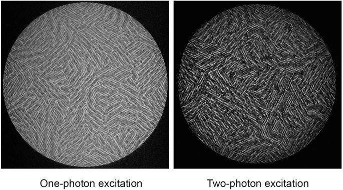 An image illustrates the comparison of an image of a uniform fluorescent target with one photon excitation and two-photon excitation.