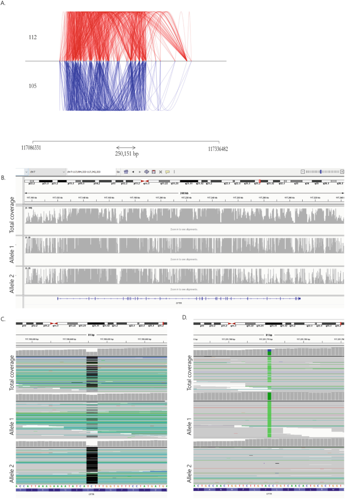 A set of 4 schemas. The first spider plot links S N Ps in C F T R locus. The second schema has locus amplification with Allele 2, Allele 1, and total coverage labels.