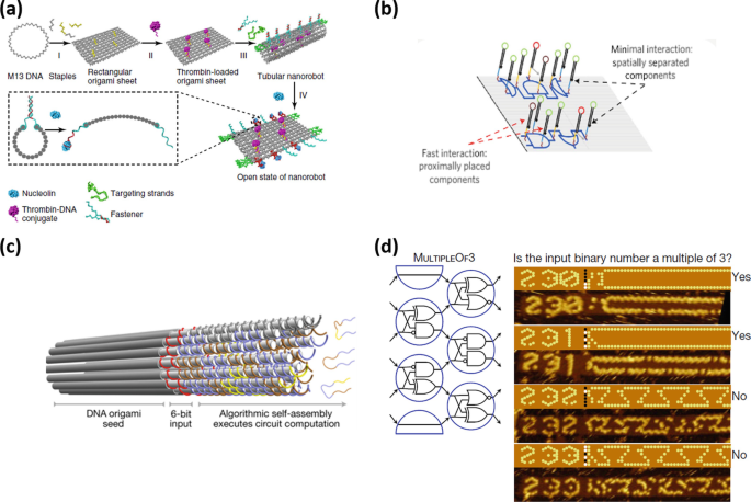 Using origami DNA to trap large viruses