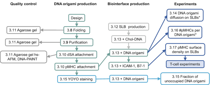 A flow diagram has the following steps for the production of D N A. Quality control, D N A origami production, biointerface production, and experiments. It includes various sub-steps of agarose gel, design, folding, purification, S L B production, D N A origami, and D N A origami diffusion on S L Bs, among others.