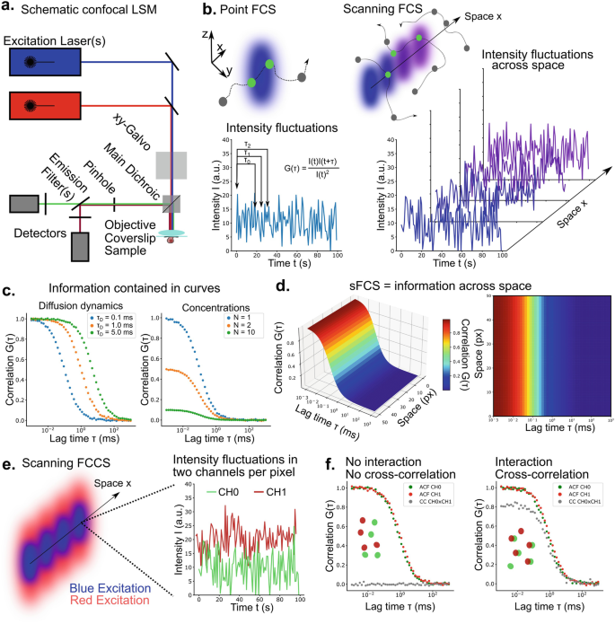 A 6-part illustration. A diagram of a confocal L S M. An illustration of point and intensity F C S along with intensity fluctuation graphs. 2 scatterplots with decreasing trends marked as diffusion dynamics and concentrations. A 3-D color-coded graph plotting correlation versus lag time versus space illustrates a extension of a single color at the base. Another illustration captioned scanning F C C S has a fluctuating line graph and 2 scatterplots with decreasing trends.