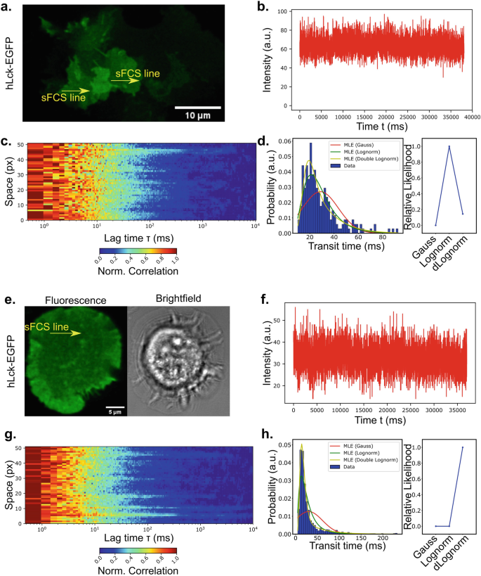 An 8-part illustration. A fluorescent scan with a bright cloudy region. 2 intensity versus time graphs. 2 spectrograms. A scan with fluorescent and brightfield markings for circular shapes. 2 histograms have line graphs superimposed, plotting probability versus transit time with a declining trend.