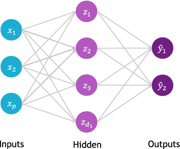 A network model displays the relationship between the inputs, hidden, and the outputs. The inputs consist of X 1, X 2, and X p, while hidden consists of z 1,z 2, z 3, and z subscript d subscript 1. It ends with two outputs, y hat 1 and y hat 2.