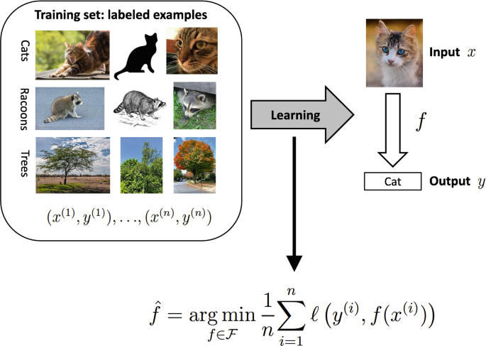 A flowchart that starts with a training set with labeled examples. 3 sets of images of cats, raccoons, and trees are given with (x superscript 1, y superscript 1) to (x superscript n and y superscript n). Through learning, the input x of a cat picture produces the output y of text that reads cat.