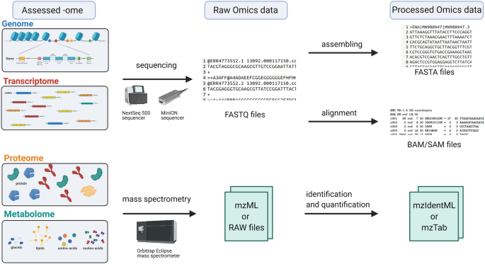 An illustration depicts that assessed ome analogies are sequenced to obtain raw omics data to assemble it into processed omics data. The proteome and metabolome undergo mass spectrometry, identification, and quantification.