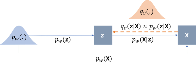 A schematic of the variational autoencoder. On the left, unknown searched p w leads to z in the center via P w of z, z leads to x on the right via q v of dot on top, and P x divides z at the bottom. The unknown searched p w leads directly to x via P subscript w of x.