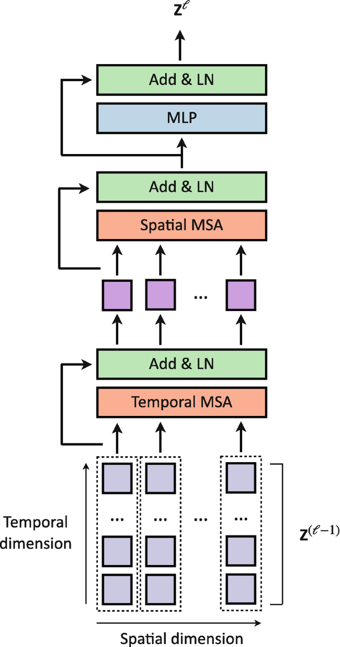 A flow diagram of the divided space-time attention mechanism. The input consists of blocks with temporal versus spatial dimensions of z of l - 1, resulting in temporal M S A, add and L N, spatial M S A, add and L N, M L P, add and L N, and the output of Z superscript l.