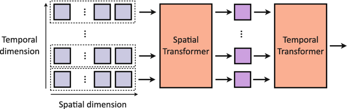 A flow diagram of factorized encoder mechanisms. The blocks of temporal and spatial dimensions lead to the spatial transformer, which then leads to the temporal transformer to get spatial embedding.