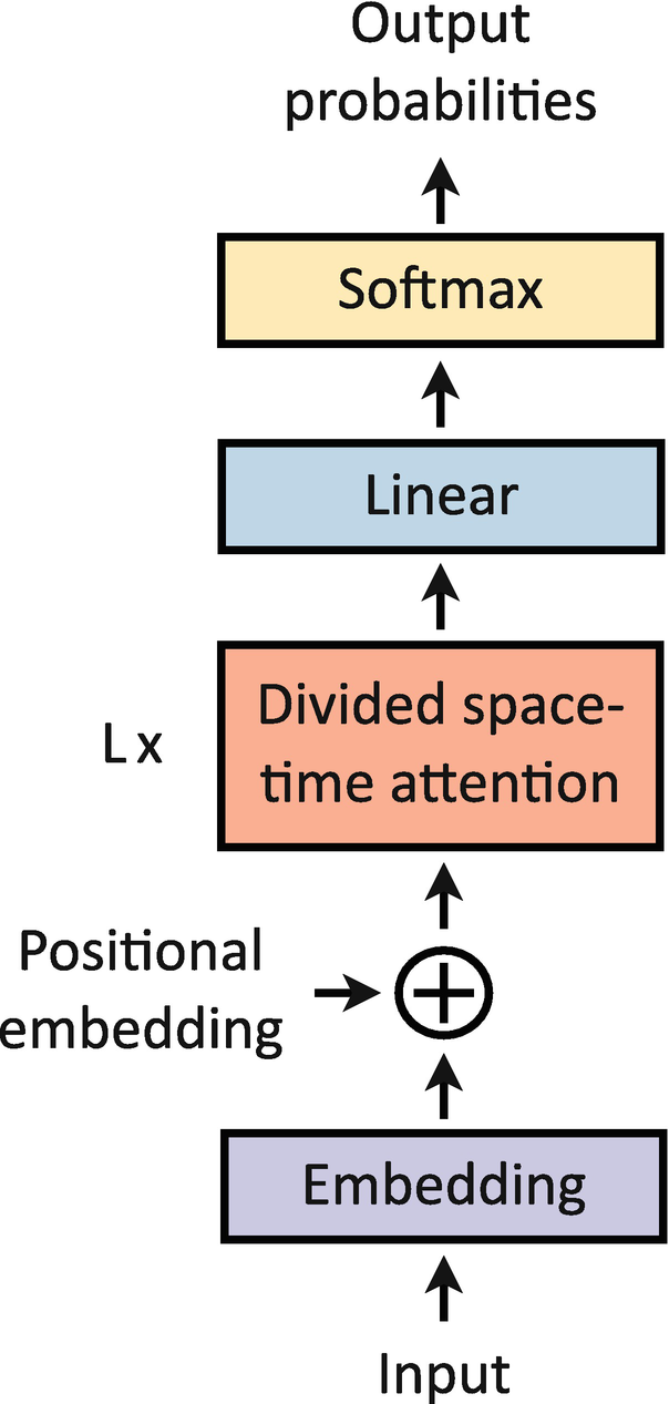 A flow diagram of the TimeSformer architecture. The input image undergoes embedding, followed by positional embedding, L X of divided space-time attention, linear, soft max, and output probabilities.