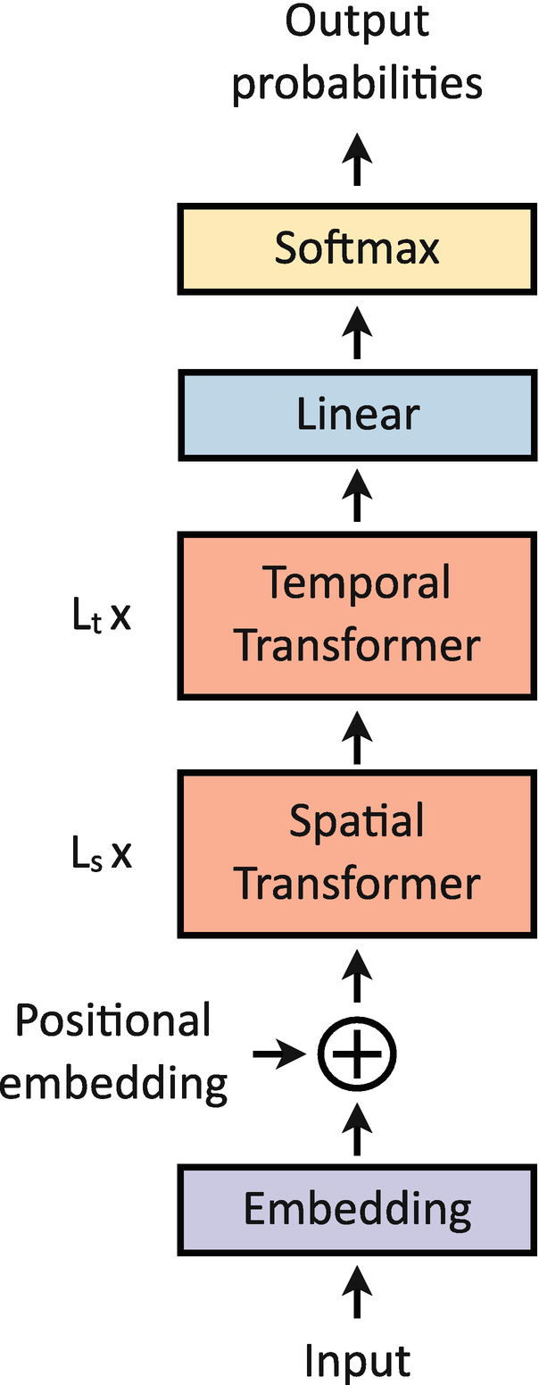 A flow diagram of the ViViT architecture. The input undergoes embedding, followed by positional embedding, L s X of spatial transformer, L t x of temporal transformer, linear, soft max, and output probabilities.