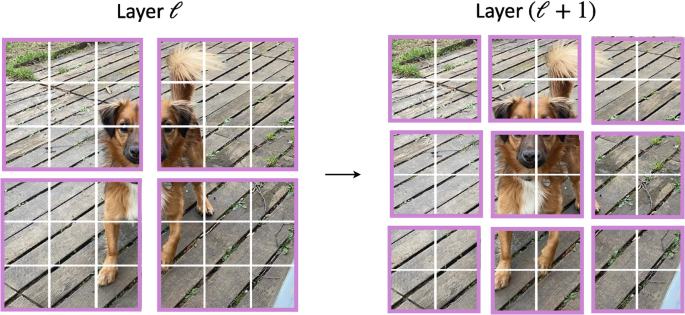 A photograph of a shifting operation. Layer l contains a photograph of a dog that is divided into four parts, each of which is divided into nine parts. Layer l leads to layer l + 1 on the right, which has a photograph of a dog divided into 9 parts, each of which is divided into 4 parts.