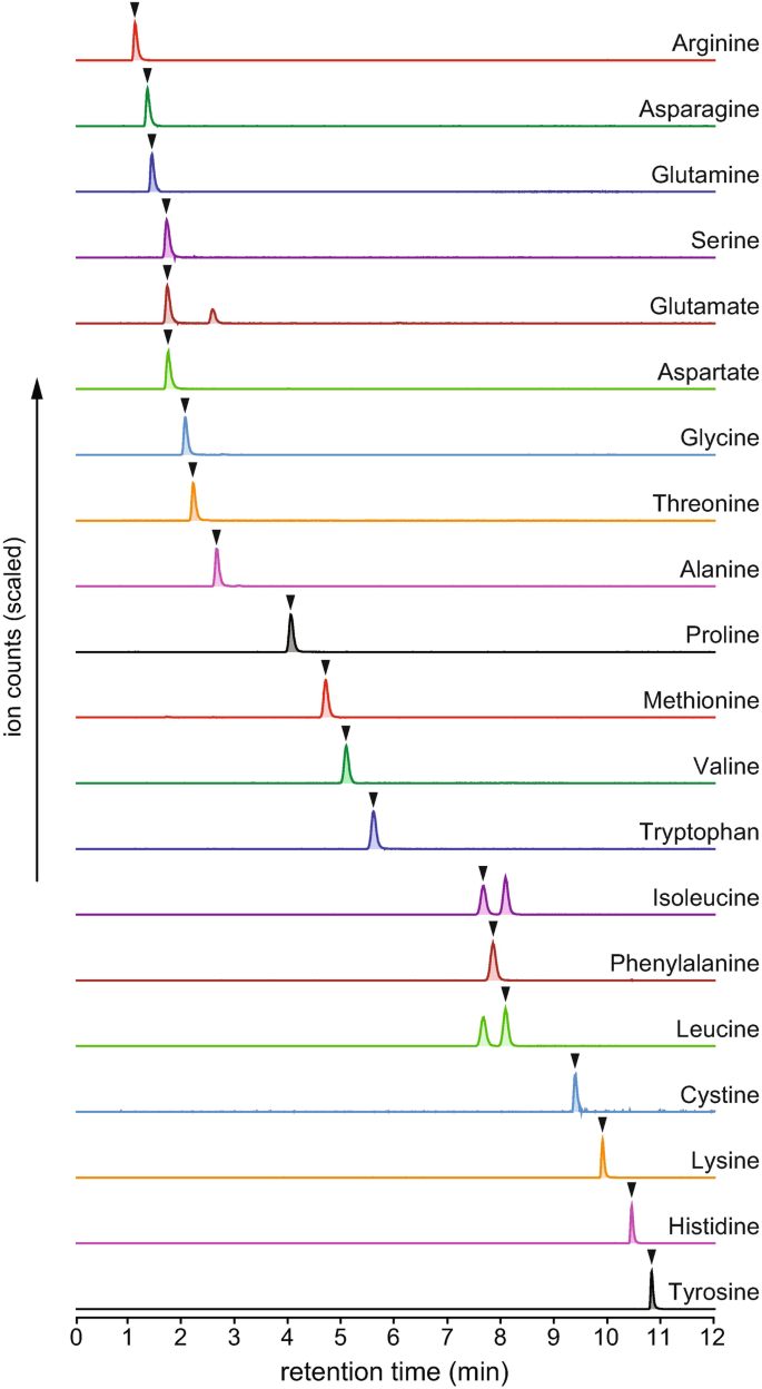 Targeted Quantification of Amino Acids by Dansylation