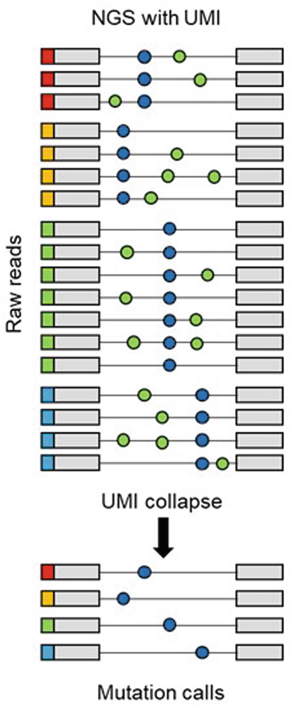 DREAMS: deep read-level error model for sequencing data applied to  low-frequency variant calling and circulating tumor DNA detection, Genome  Biology