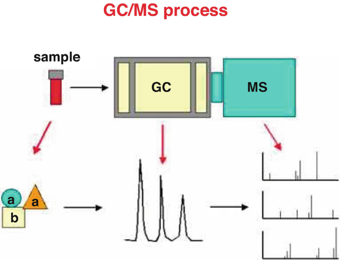 Analysis of Secondary Volatile Oxidation Products by Headspace GC-MS ...