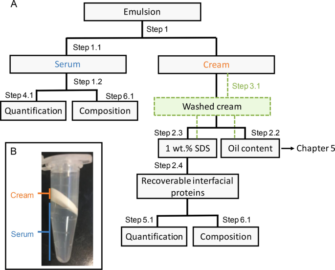 Surface Load and Interfacial Composition of Protein-Stabilized O/W ...