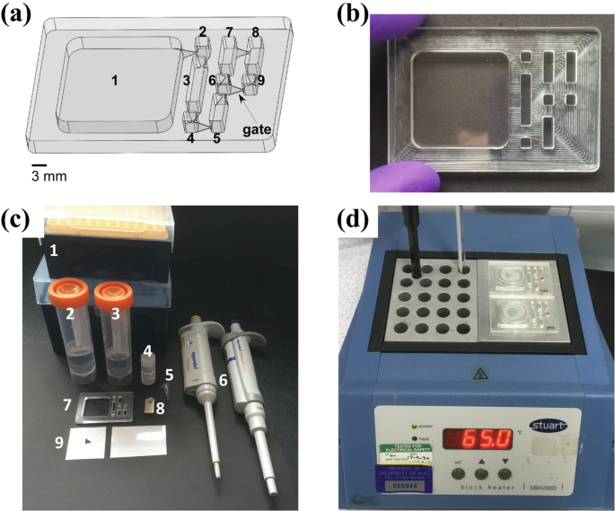 A. An illustration of a 3-D model of the microfluidic device. B. A photograph of the Polymethyl methacrylate. D. Photograph of 2 sample tubes and 2 strings. D. A photograph of a hotplate required for on-chip assays.