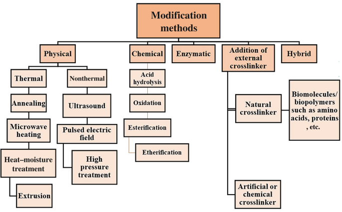 A chart lists the starch modification methods. It is classified into physical, chemical, enzymatic, addition of external crosslinker, and hybrid. The physical includes thermal and nonthermal. The chemical includes acid hydrolysis. The crosslinker includes natural and artificial or chemical.
