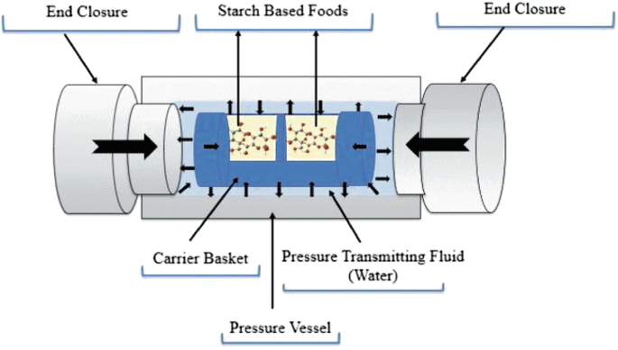 A schematic diagram exhibits the assembly of the H H P module. It is equipped with an end closure, starch based foods, an end closure, a carrier basket, a pressure vessel, and water as a pressure-transmitting fluid.
