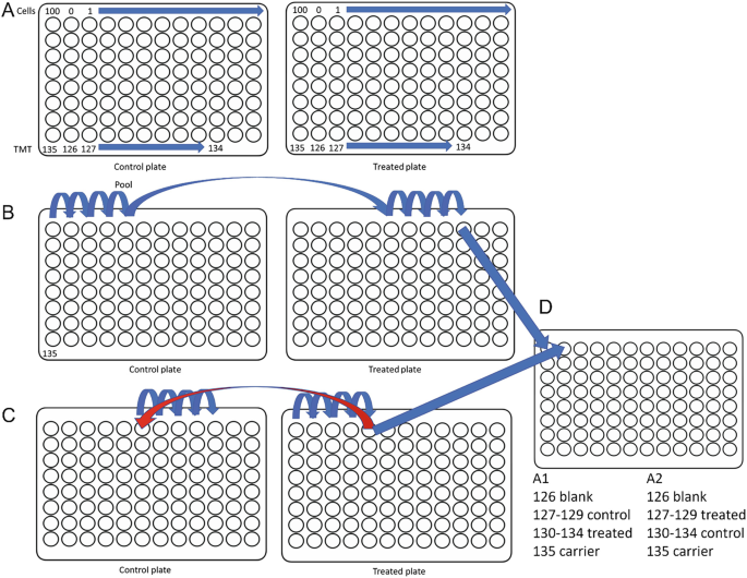 A Multiplexed Single-Cell Proteomic Workflow Applicable to Drug Treatment Studies | SpringerLink