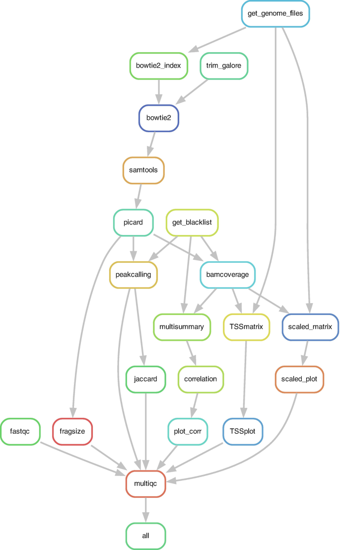 Bioinformatics Core Workflow for ChIP-Seq Data Analysis | Springer ...